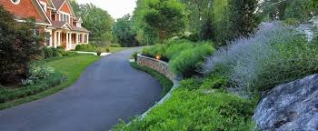 Consider the mature size of the plant, though. 20 Best Driveway Ideas And Designs On A Budget With Pictures 2021
