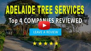 What Tree Removal In Adelaide Costs How To Save Tree Removal Tree Service How To Remove