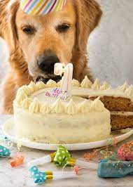 Because we don't think your dog is spoiled enough! Dog Cake Recipe For Dozer S Birthday Recipetin Eats
