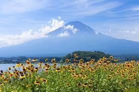 Tripadvisor Mt Fuji Day Tour With Kawaguchiko Lake And Gotemba Outlet Provided By Goryo Co Ltd Shinjuku Tokyo