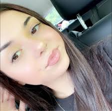 How to allow friends to visit island in Animal Crossing New Horizons?