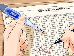 La temperatura basal corporal aumenta. Temperatura Basal 2021