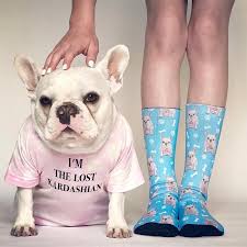 We'll even crop the face out for you free! Custom Dog Socks Put Your Dog On Socks Socksery