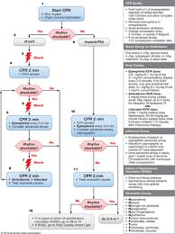 Our new paediatrics 2040 website has a focused report on wellbeing and working lives. 2018 American Heart Association Focused Update On Pediatric Advanced Life Support An Update To The American Heart Association Guidelines For Cardiopulmonary Resuscitation And Emergency Cardiovascular Care Circulation