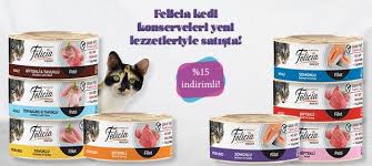 Juen Pet Market 2020 Urunler Evcil Hayvan Malzemeleri Evcil Hayvanlar