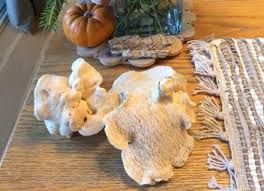 Image result for Dentinum repandum