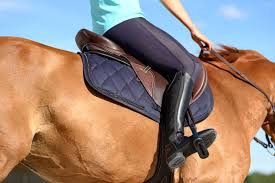 Hispar mens man victory english field boots horse back riding equestrian top rated seller. Half Chaps Or Boots Which Is Better For Horse Riding Decathlon