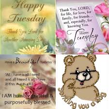 We did not find results for: Untitled Good Morning Thanking God For Everything I