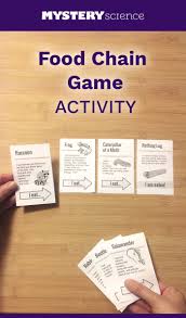 Ecosystems And Food Web Activities Science Lessons 5th Grade Science Science Activities