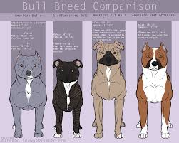 19 Bully Breed Comparison Chart Bully Breed Comparison