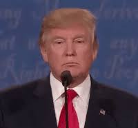 Trump donald lama GIF