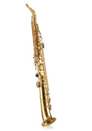 Image result for Commelina saxosa