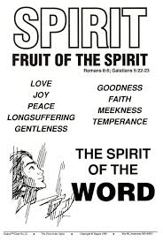 For Those Who Live According To The Flesh Google Search Fruit Of The Spirit Bible Study Help Words