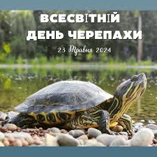 Доброго раночку! Сьогодні Всесвітній день черепахи (англ. World Turtle Day), який відзначається щорічно 23 травня, був започаткований у 2000 році Американським товариством порятунку черепах (American Tortoise Rescue). Метою цього свята є привернення