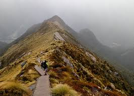 Kepler track