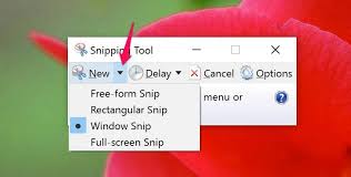 How to use print screen on a dell laptop. How To Take A Screenshot On A Dell Pc Laptop Tablet