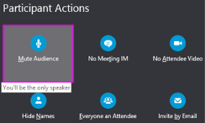If you dialed in to the audio conference using your telephone, you must enter your audio pin in order to use the control panel for muting. Mute Or Unmute Your Microphone In A Skype For Business Meeting Or Call Skype For Business
