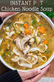 Top 50 easy lunch ideas. Instant Pot Chicken Noodle Soup Recipe Currytrail
