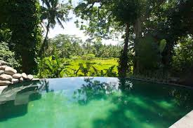 Superb Villa Magical View More Villas For Rent In Ubud Indonesia