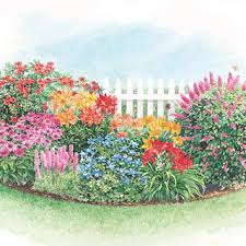 When you plant astilbe in your garden, you will find that you have a plant with dense foliage and flowery blooms to help breathe life into your shade garden. How To Create Beautiful Perennial Garden Michigan Bulb Company