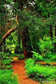 All these nature pictures are available in 8 different wallpapers resolutions to fit your computer desktop screen. 900 Beautiful Nature Ideas In 2021 Beautiful Nature Nature Scenery