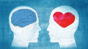 Resultado de imagen para cerebro corazon pelea