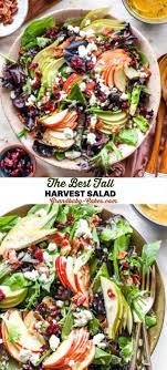 The Best Harvest Fall Salad Recipe Autumn Salad Recipes Harvest Salad Recipes Autumn Salad