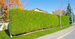 Der schall kann auf unterschiedliche weise durch eine lärmschutzwand im gartenbereich. Garten An Der Strasse Schutzen Wohnnet At