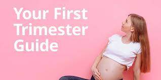 Image result for First Trimester Education