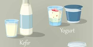 Kefir Vs Yogurt How To Decide Which Is Right For You Dr Axe