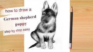 How to draw a great pyrenees dog. How To Draw A German Shepherd Puppy Step By Step Youtube
