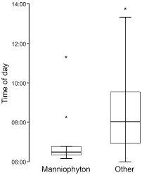 Image result for Manniophyton