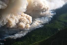 It seems that fires in california news remain top stories throughout the year. B C Wildfires 2018 Thousands Prepare To Leave Their Homes At A Moment S Notice Cowichan Valley Citizen