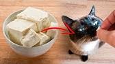 However, too much fat can give your cat a. Hungry Cats Eating Sausage Youtube