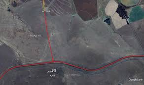 Image result for Zornia punctatissima