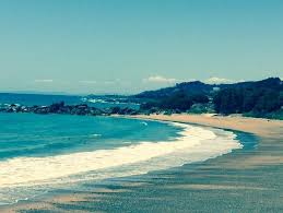 We travelled from launceston to hobart by road. Penguin Holiday Apartments Prices Specialty Hotel Reviews Tasmania Tripadvisor