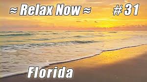 sanibel captiva island blind pass beach 31 florida beaches ocean wave sounds best sunset waves