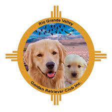 Akc registered golden retriever puppies. Rio Grande Valley Golden Retriever Club Home Facebook