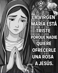 PERSEVERA Pasarás por cosas que no merece pero te mostrarán lo fuerte que  eres y te prepararán para lo que Dios tiene para ti. Romanos 8:28