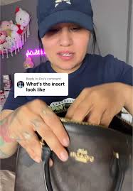 Coach Rowan Bag Organizer