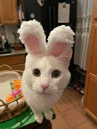 Happy Easter from the Magical Mystery Easter Bunny and his Easter Eggmen.