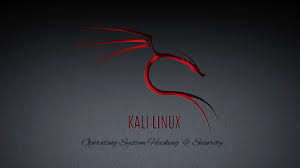 Tons of awesome kali linux smartphone wallpapers to download for free. 66 Kali Linux Wallpaper Hd