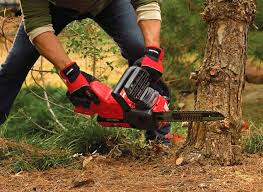 Power through landscaping projects with the craftsman 60v max cordless chainsaw, say goodbye to overhanging branches and overgrown bushes with this brushless chainsaw's 16 bar and chain, 16. Craftsman Chainsaw Reviews Are They Any Good Chainsaw Journal