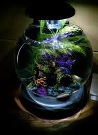 Beta Fish Aquarium With Waterfall 39 At Amazon I Want To Buy This For Baylee Cool Fish Tanks Beta Fish Tank Aquarium Fish Tank