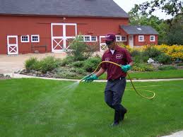 Near you 20+ lawn care services near you. On Time Friendly Hawthorn Woods Il Lawn Care Services