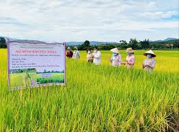 ĐĂNG KÍ GIẤY CHỨNG NHẬN VIETGAP - VIETCERT