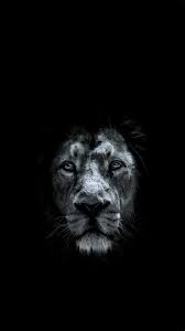 Beautiful Couples Searching Dating Flint Lion Hd Wallpaper Lion Wallpaper Animal Wallpaper