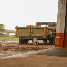 Red Barn Trailers El Paso-Las Cruces | Meet the LPX GN by RawMaxx – the  ultimate heavy-duty dump trailer designed to tackle any job. With a 14,000  lbs GVWR, a 16' dump