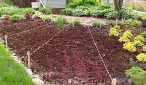 How Organic Matter Can Dramatically Help Your Soil Vegetable Garden Planning Backyard Garden Landscape Garden Planning