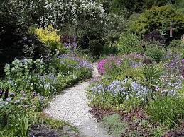 Pin By Katherine Hyde On Beautiful Garden Ideas Plants Garden Inspiration Beautiful Gardens